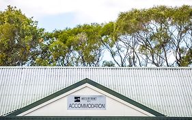 Nightcap At Northern Grounds